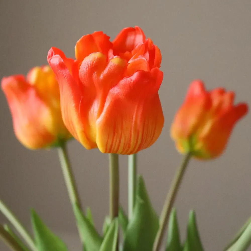Botané Studios Kunstige Blomster>Triumpf Tulip Orange (5 pieces)
