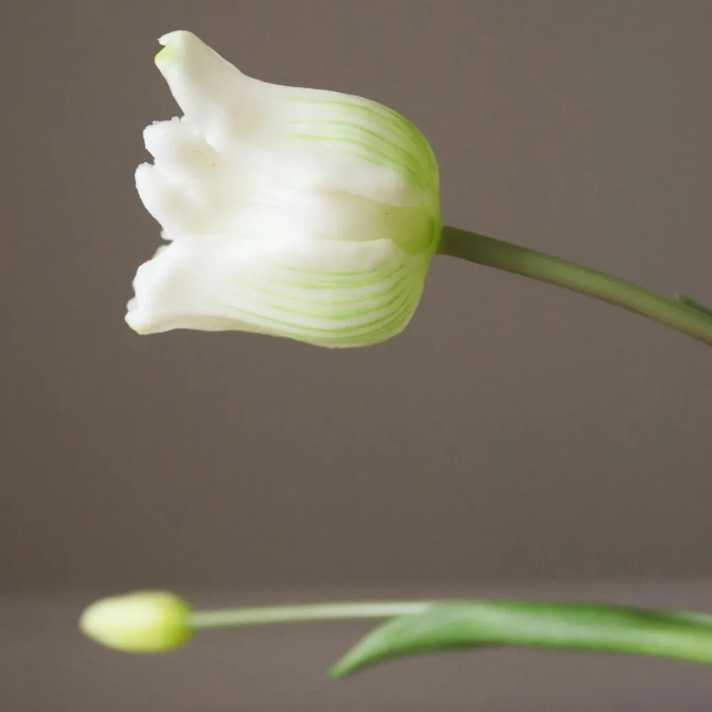 Kunstige Blomster>Botané Studios Triumpf Tulip White (5 pieces)