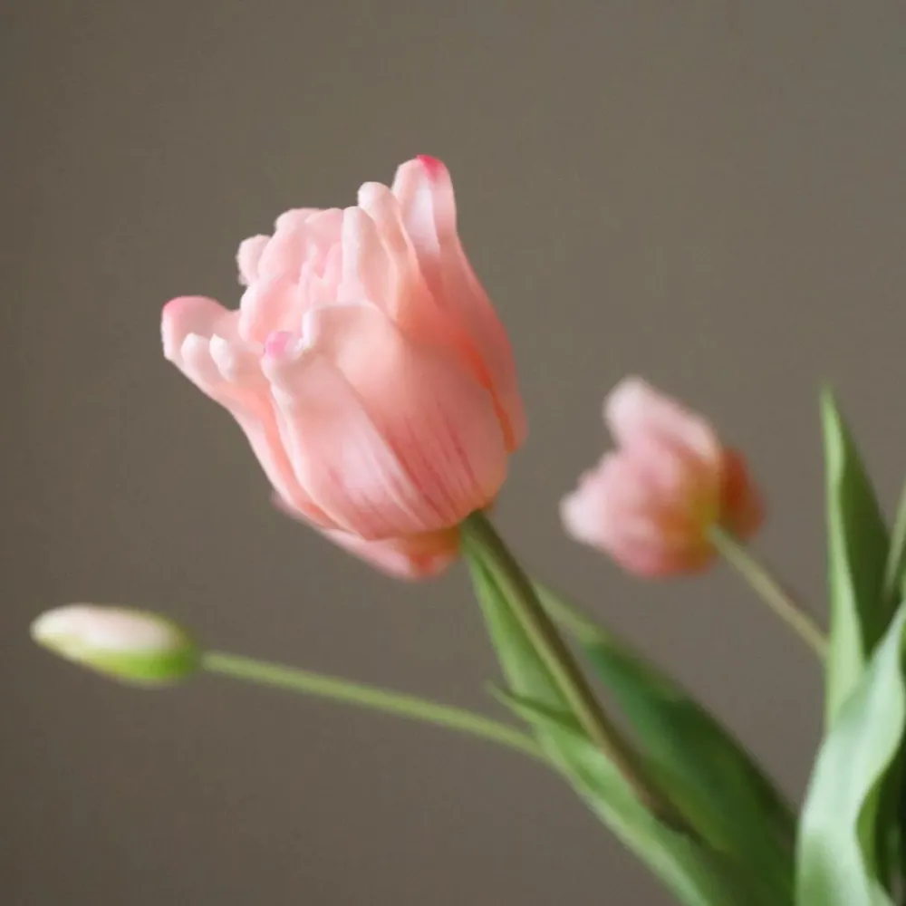 Botané Studios Kunstige Blomster>Triumpf Tulip Light Pink (5 pieces)