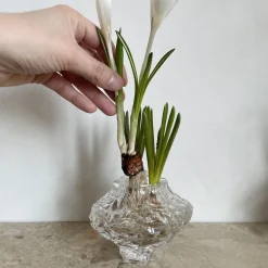 Hein Studio Andet Boligtilbehør|Vaser>Canyon Vase Mini Clear