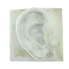 Laoru Laoru Keramik & Porcelæn>Right Ear Relief Antique White