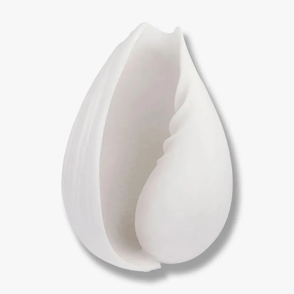 Mette Ditmer Andet Boligtilbehør>Conch Shell Large Off-White