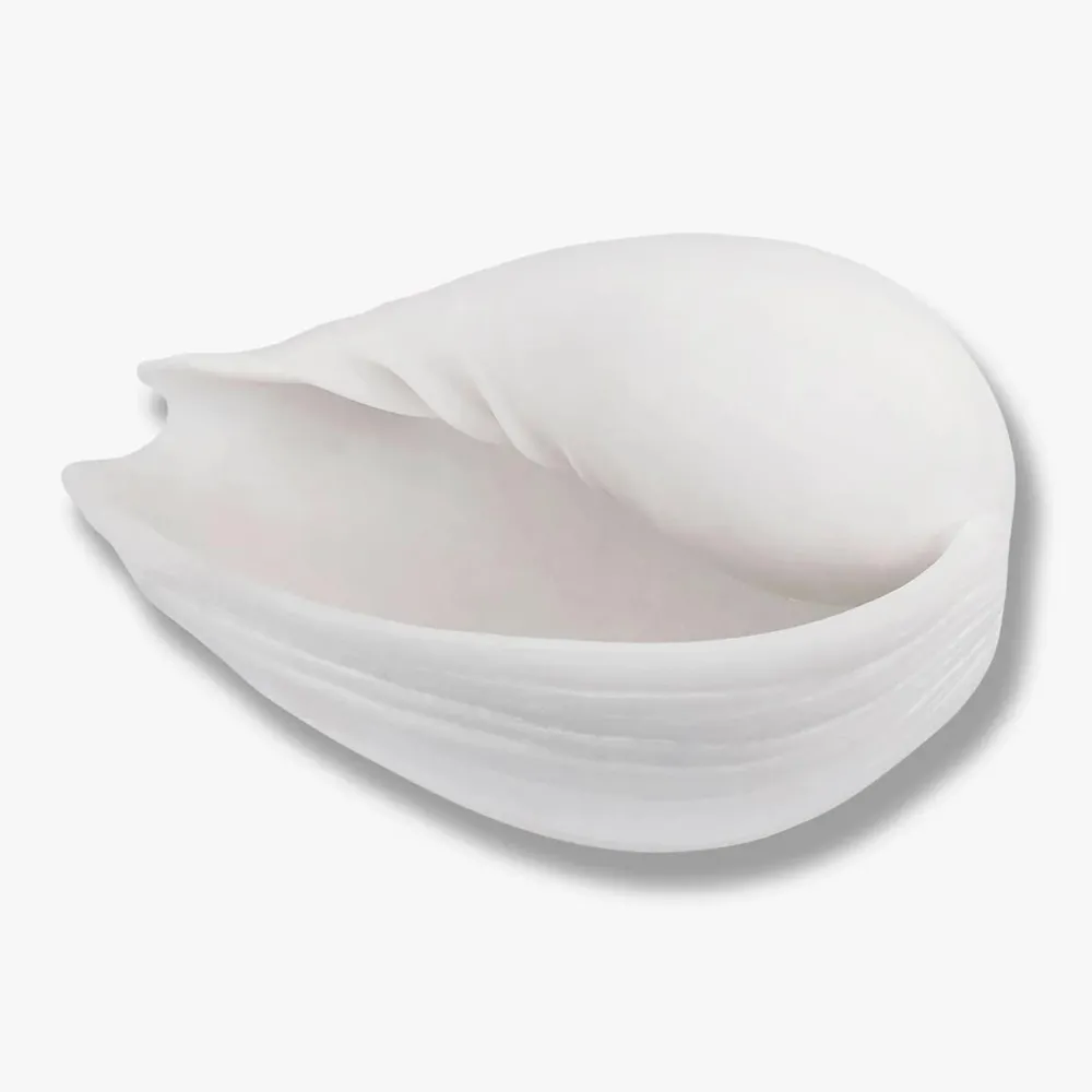 Mette Ditmer Andet Boligtilbehør>Conch Shell Large Off-White