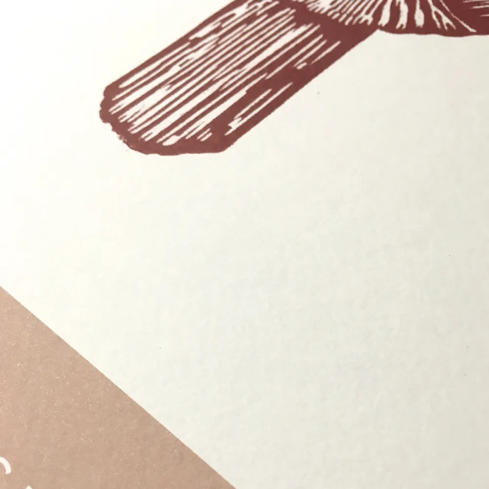 Monika Petersen Illustrationer & Plakater>Artichoke Poster Cherry Red