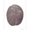 Monika Petersen Illustrationer & Plakater>Plum A5