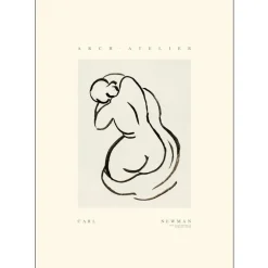 Poster & Frame Illustrationer & Plakater>Carl Newman 03 A3