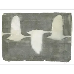 Poster & Frame Illustrationer & Plakater>Swans 30x40 cm