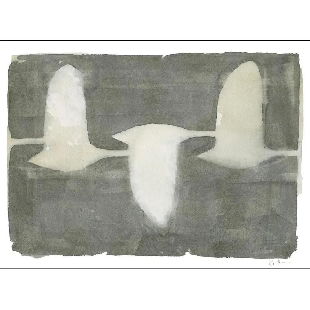 Poster & Frame Illustrationer & Plakater>Swans 30x40 cm